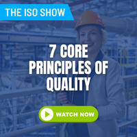 Seven Core Principles of Quality
